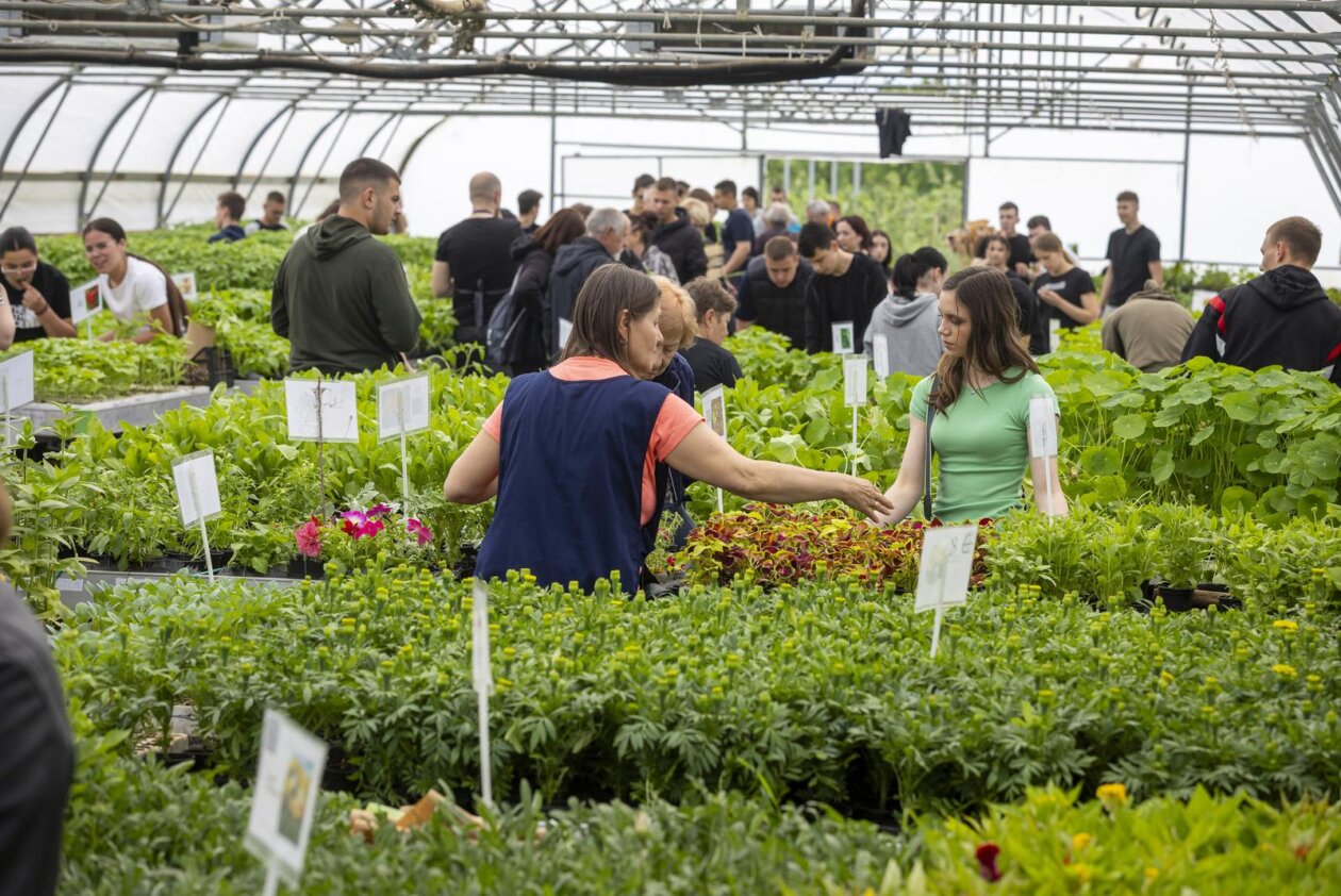 Osijek: Održan treći po redu “Proljetni sajam” Poljoprivredne i veterinarske škole Osijek