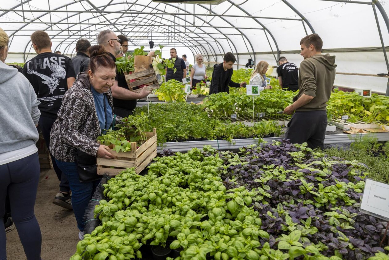 Osijek: Održan treći po redu “Proljetni sajam” Poljoprivredne i veterinarske škole Osijek