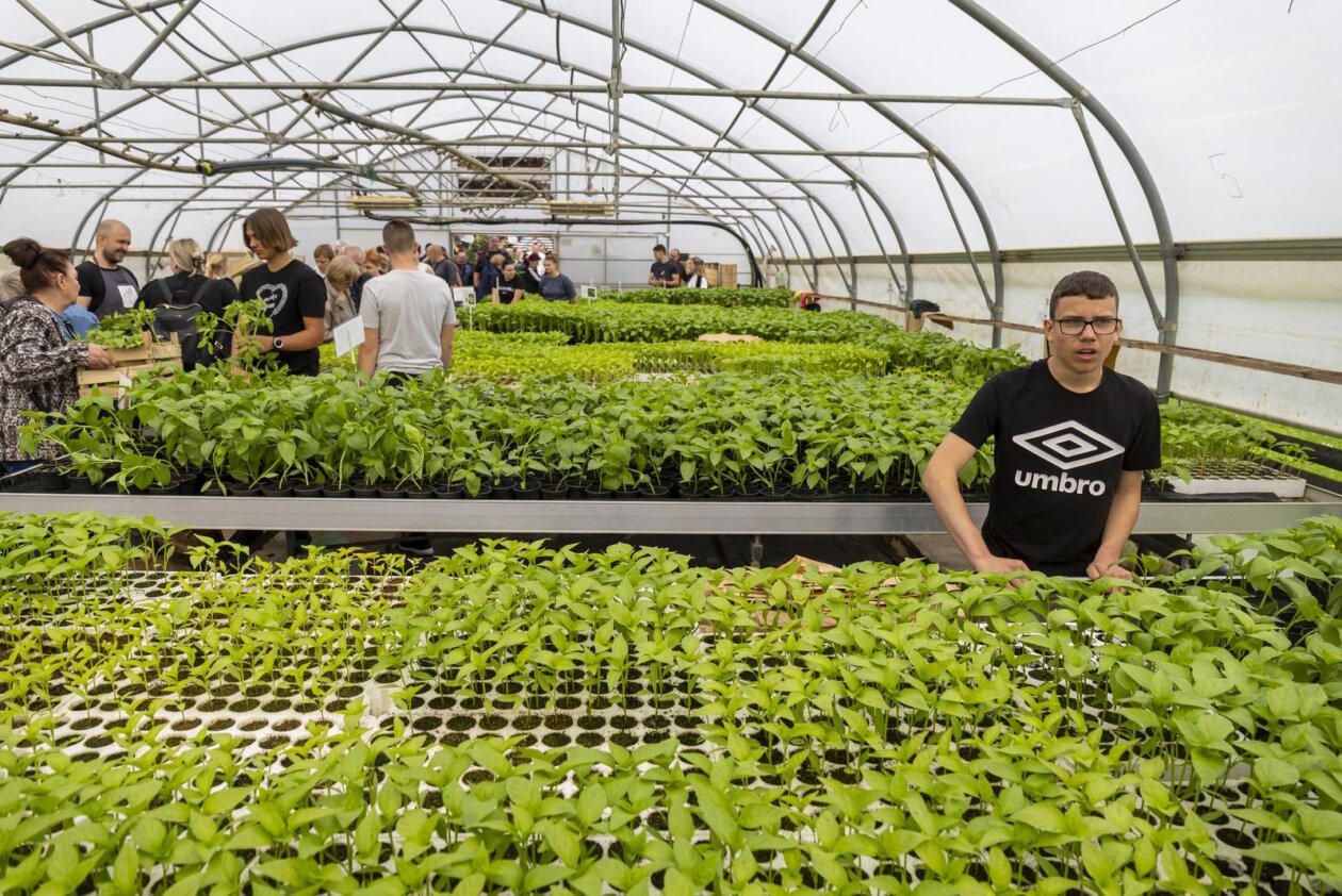 Osijek: Održan treći po redu “Proljetni sajam” Poljoprivredne i veterinarske škole Osijek