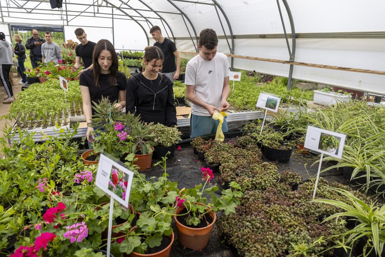 Osijek: Održan treći po redu “Proljetni sajam” Poljoprivredne i veterinarske škole Osijek