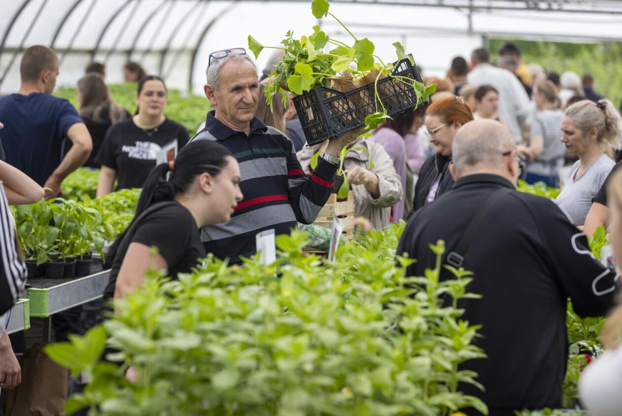 Osijek: Održan treći po redu “Proljetni sajam” Poljoprivredne i veterinarske škole Osijek