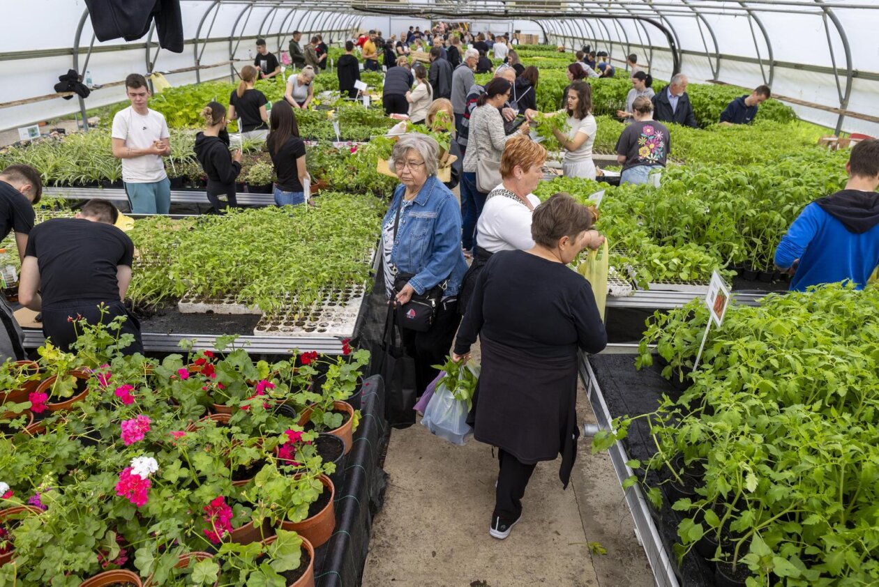 Osijek: Održan treći po redu “Proljetni sajam” Poljoprivredne i veterinarske škole Osijek