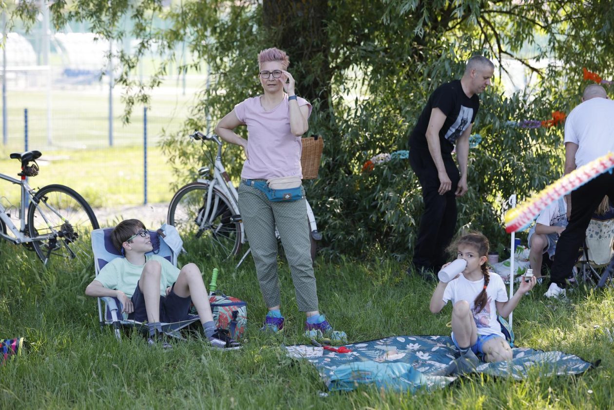 piknik