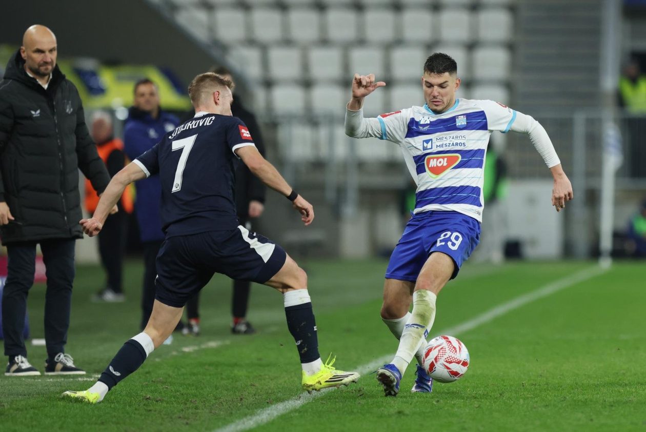 PXL_250126_145371170 PXL_250126_145371170