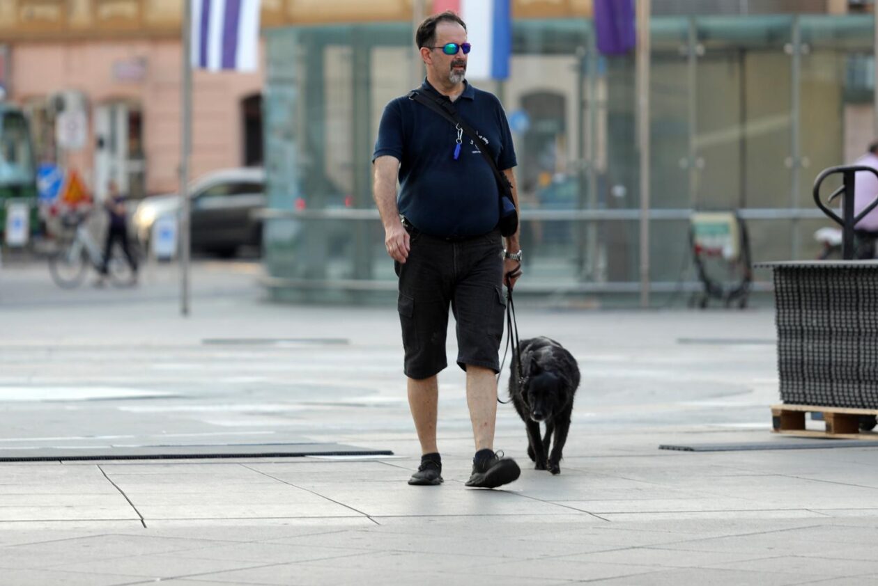 Legice i lege u šetnji u suton