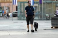Legice i lege u šetnji u suton