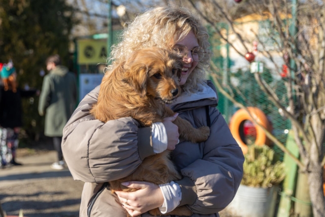 Osijek: U azilu za pse održan je Božićni ručak Osijek: U azilu za pse održan je Božićni ručak