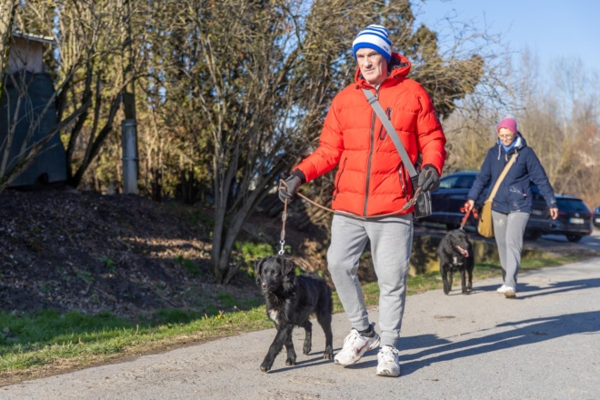 Osijek: U azilu za pse održan je Božićni ručak Osijek: U azilu za pse održan je Božićni ručak