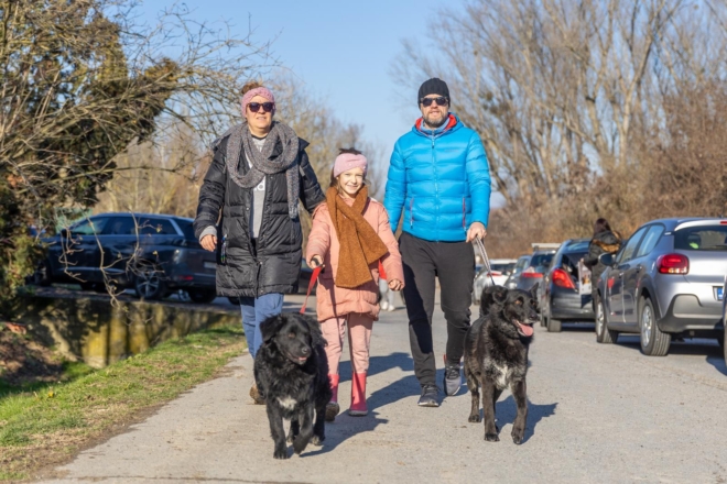 Osijek: U azilu za pse održan je Božićni ručak Osijek: U azilu za pse održan je Božićni ručak