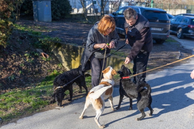 Osijek: U azilu za pse održan je Božićni ručak Osijek: U azilu za pse održan je Božićni ručak