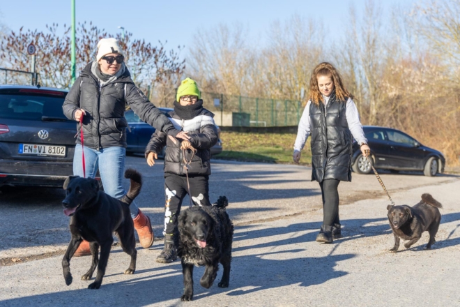 Osijek: U azilu za pse održan je Božićni ručak Osijek: U azilu za pse održan je Božićni ručak