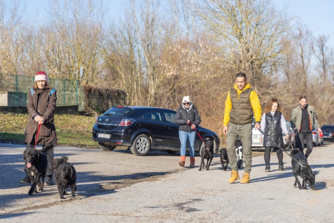 Osijek: U azilu za pse održan je Božićni ručak Osijek: U azilu za pse održan je Božićni ručak