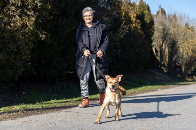 Osijek: U azilu za pse održan je Božićni ručak Osijek: U azilu za pse održan je Božićni ručak