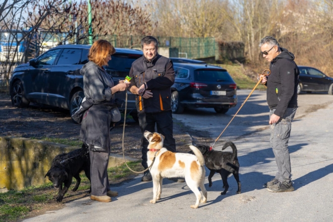 Osijek: U azilu za pse održan je Božićni ručak Osijek: U azilu za pse održan je Božićni ručak