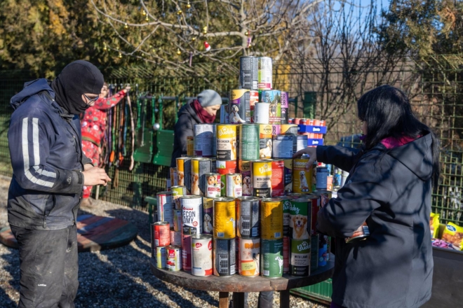 Osijek: U azilu za pse održan je Božićni ručak Osijek: U azilu za pse održan je Božićni ručak