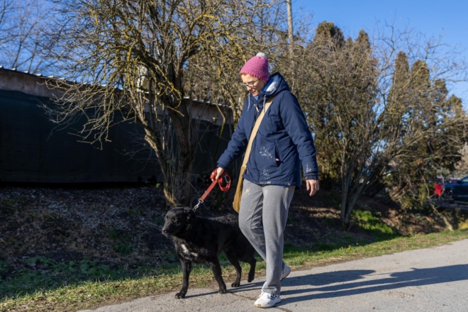 Osijek: U azilu za pse održan je Božićni ručak Osijek: U azilu za pse održan je Božićni ručak