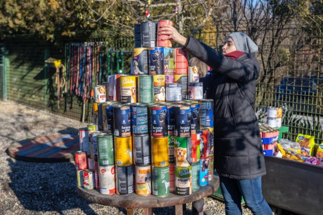 Osijek: U azilu za pse održan je Božićni ručak Osijek: U azilu za pse održan je Božićni ručak