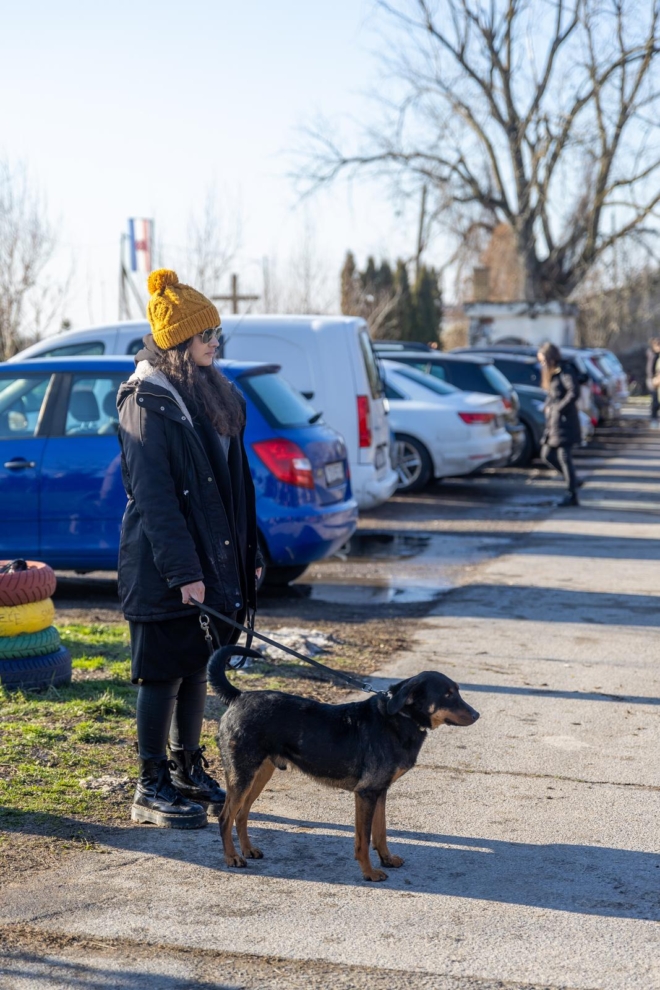 Osijek: U azilu za pse održan je Božićni ručak Osijek: U azilu za pse održan je Božićni ručak