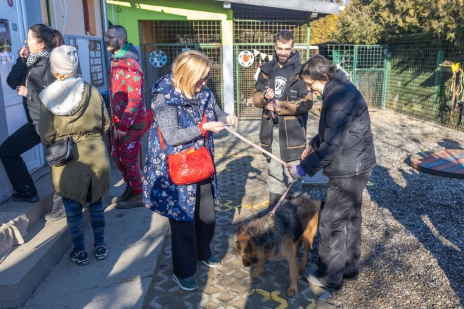Osijek: U azilu za pse održan je Božićni ručak Osijek: U azilu za pse održan je Božićni ručak