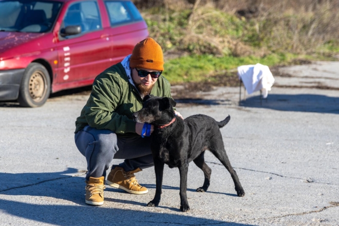 Osijek: U azilu za pse održan je Božićni ručak Osijek: U azilu za pse održan je Božićni ručak