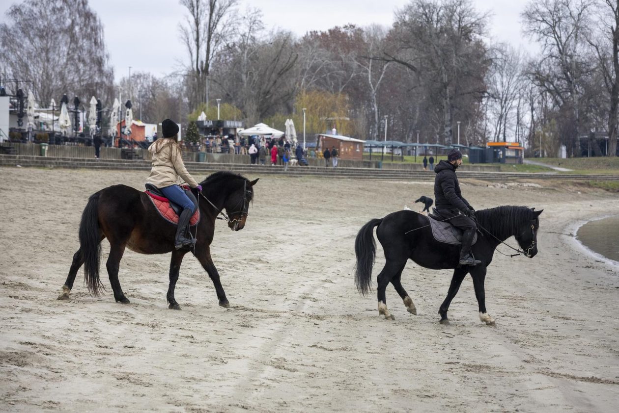 Osijek: Blagdan svetog Stjepana osječani iskoristili za štenju i druženje na obali Drave.