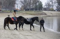 Osijek: Blagdan svetog Stjepana osječani iskoristili za štenju i druženje na obali Drave.