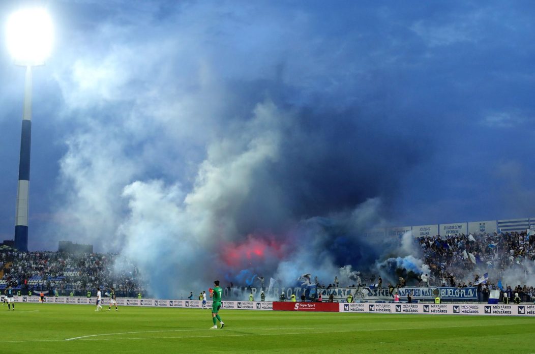 kohorta na gradskom vrtu