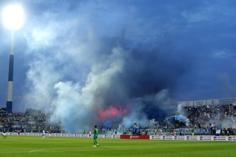 kohorta na gradskom vrtu