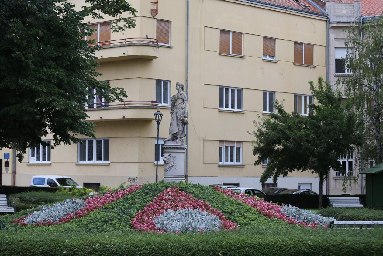 Nedjeljna šetnja