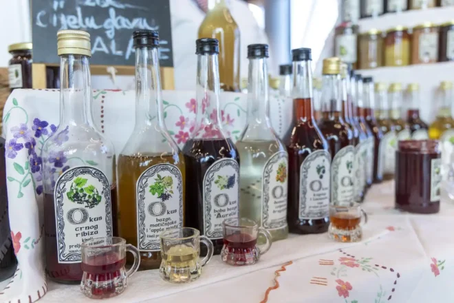 PXL_270924_121312756 PXL_270924_121312756