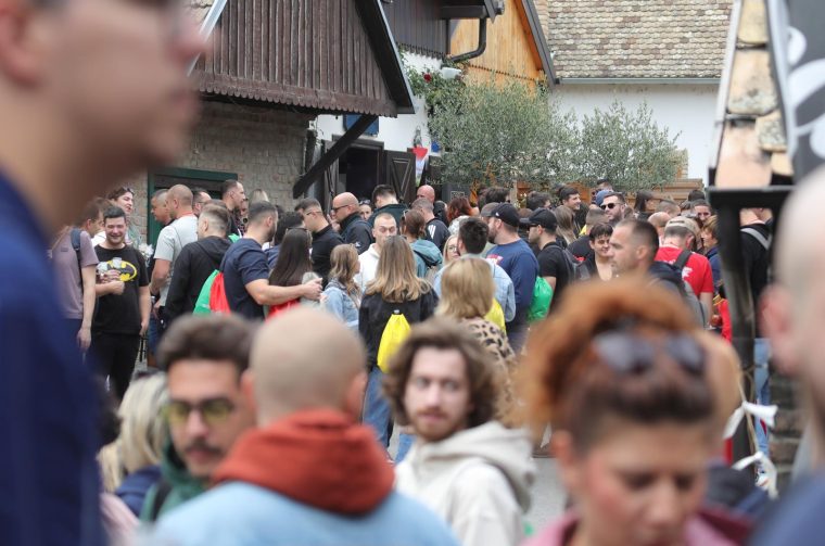 Zmajevac:  Vinski Bor maraton