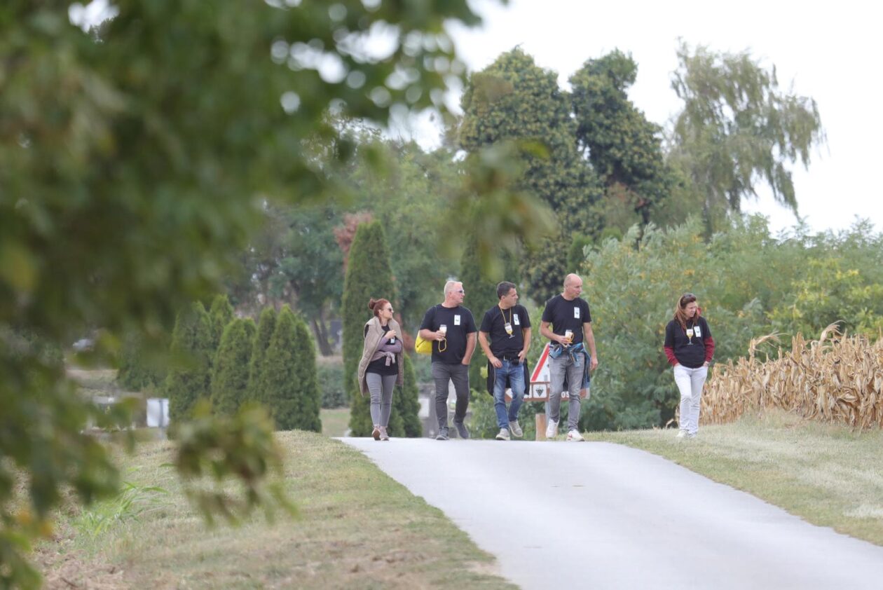 Vinski maraton Zmajevac