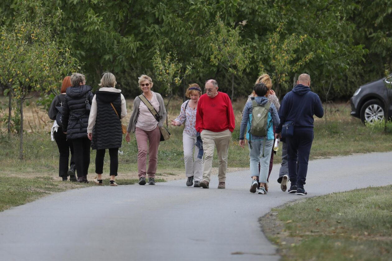 Vinski maraton Zmajevac