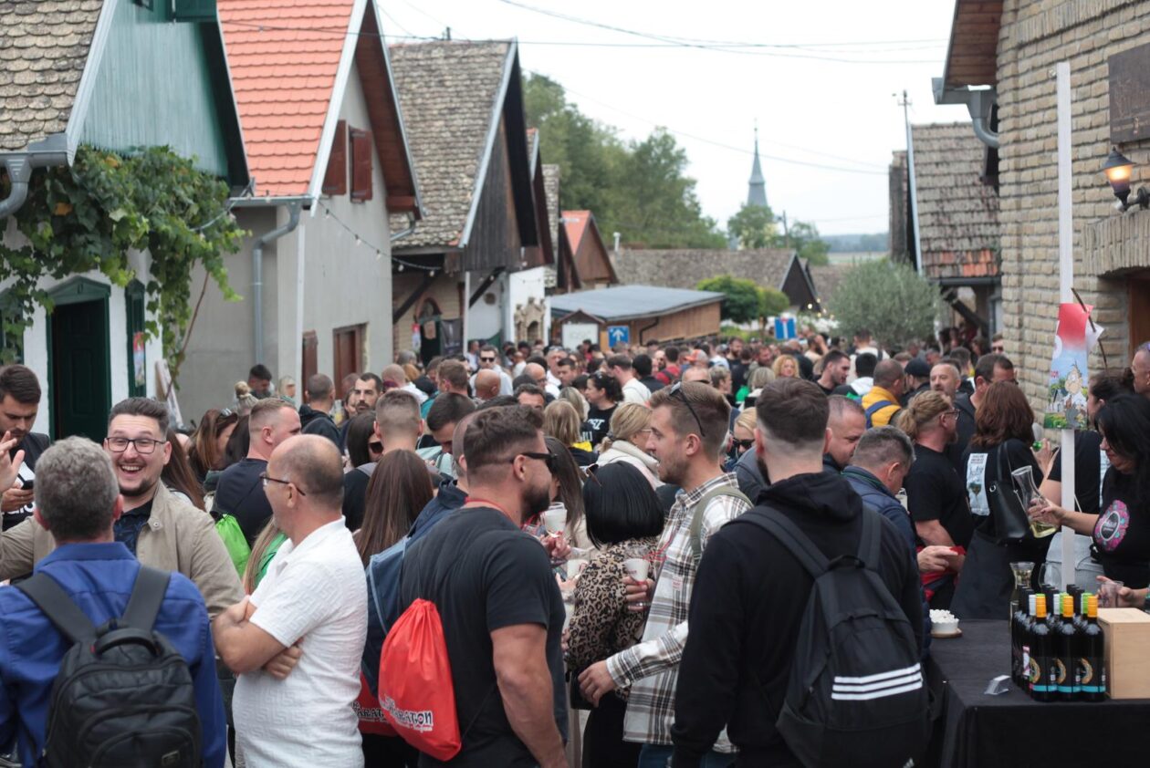 Vinski maraton Zmajevac