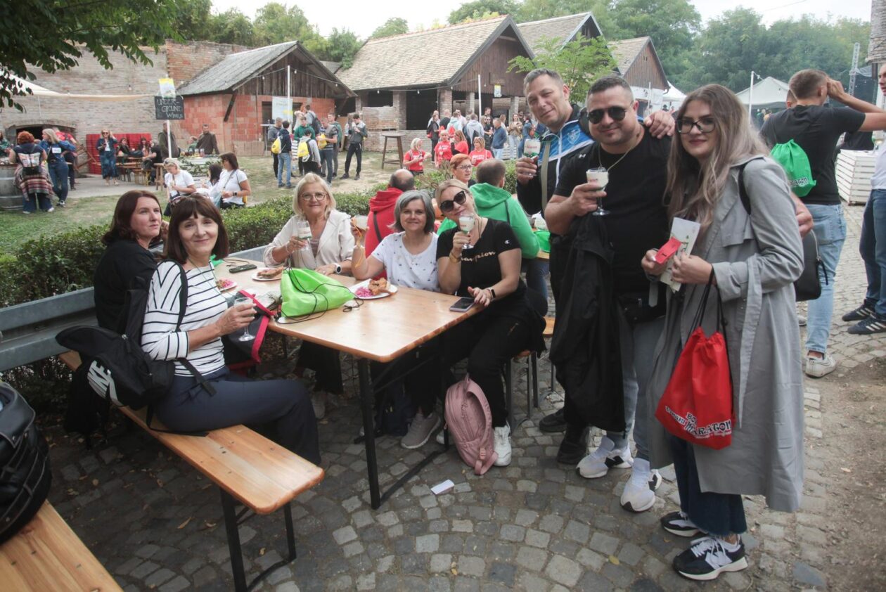 Vinski maraton Zmajevac