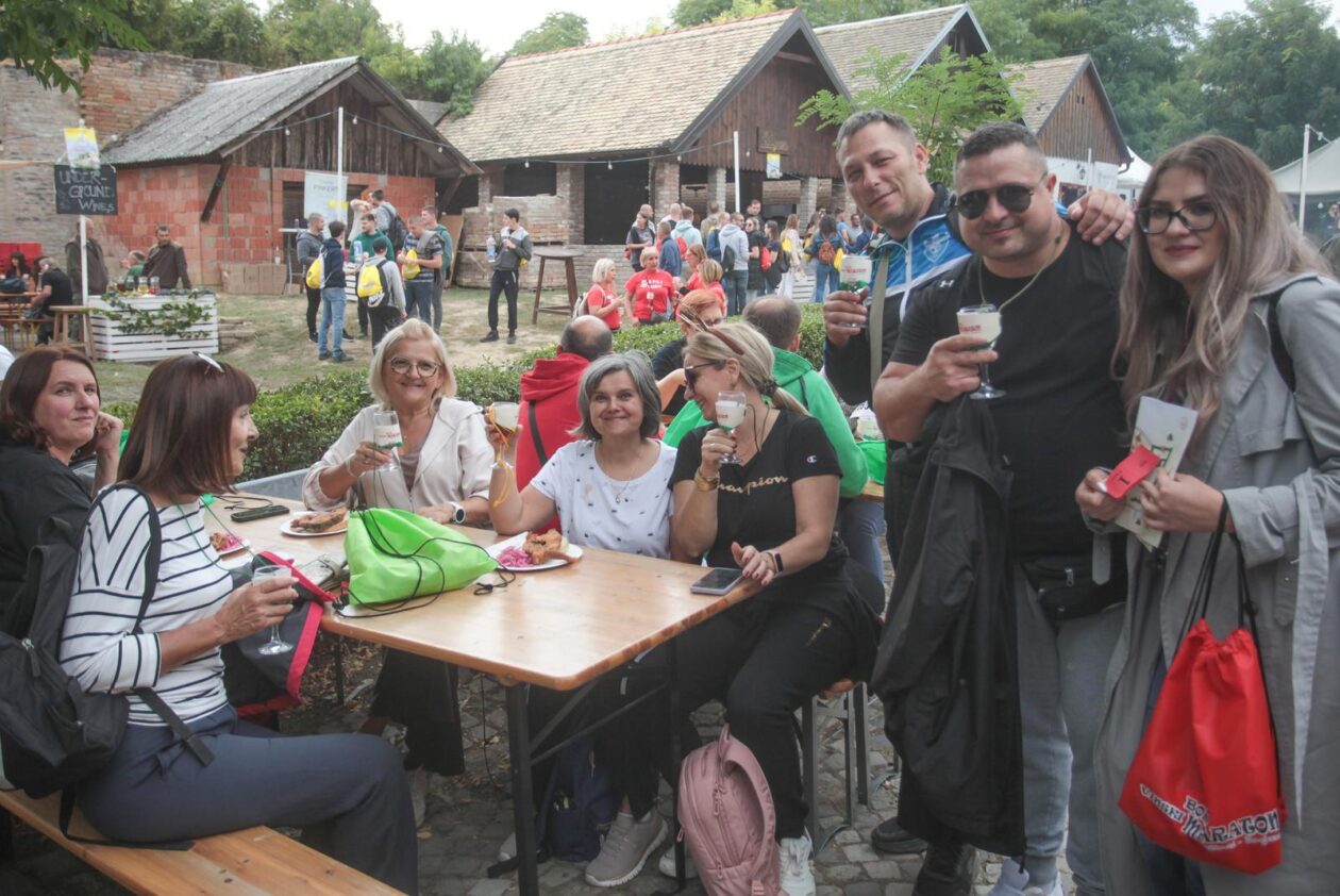 Vinski maraton Zmajevac