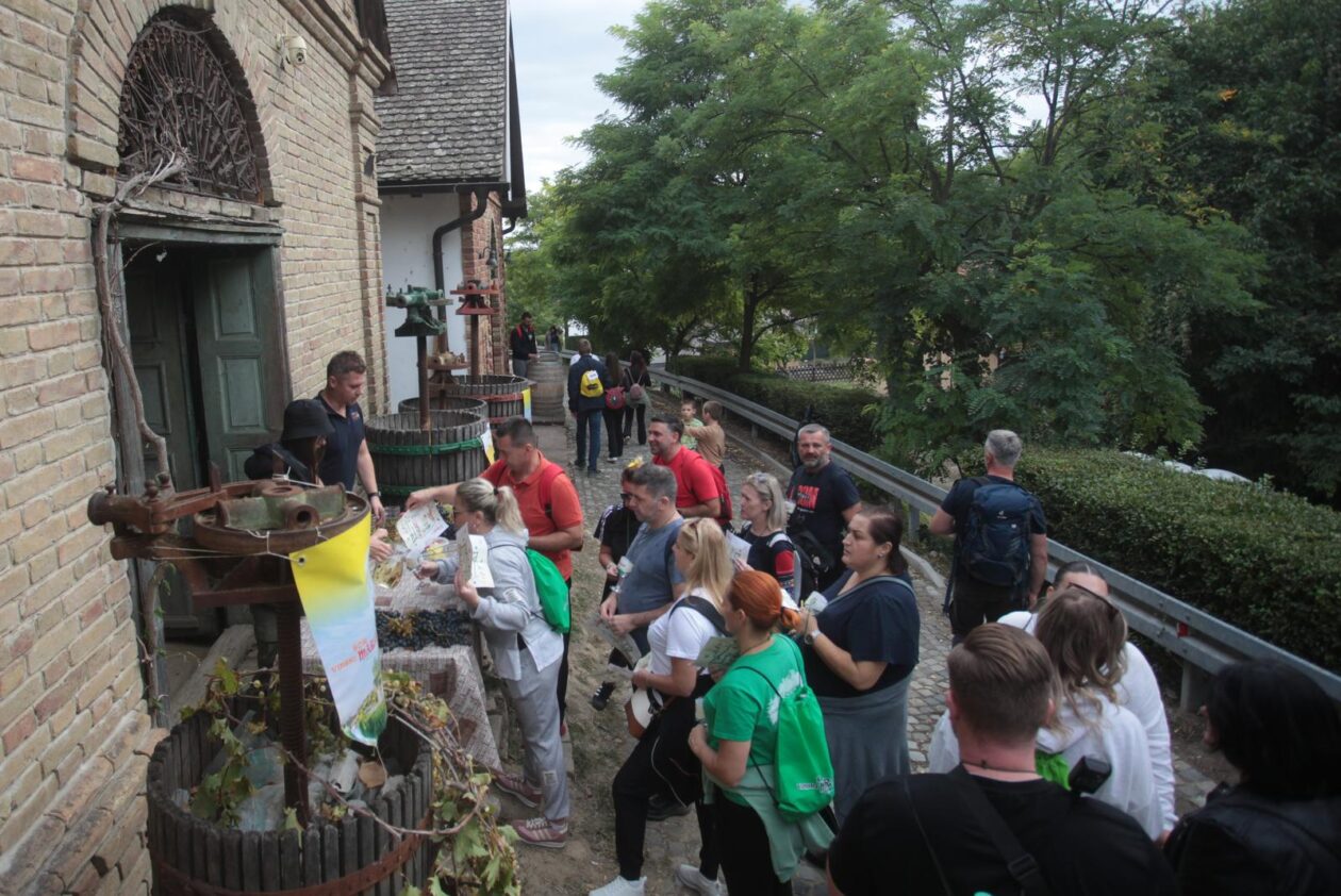 Vinski maraton Zmajevac