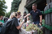 Vinski maraton Zmajevac