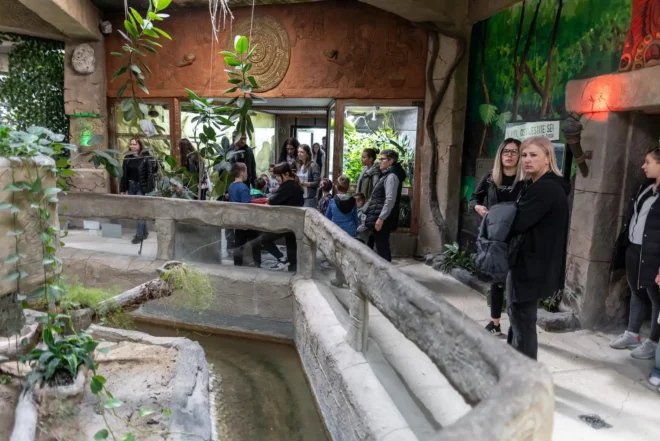 Zmije i gušteri, ZOO vrt Osijek