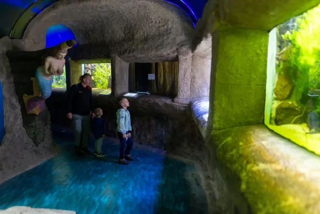 Zmije i gušteri, ZOO vrt Osijek