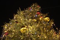 Prirpeme za Advent u Osijeku 2025. Prirpeme za Advent u Osijeku 2025.