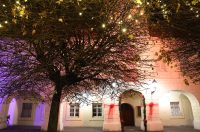 Prirpeme za Advent u Osijeku 2025. Prirpeme za Advent u Osijeku 2025.