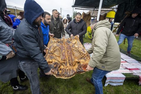 Proljetni vašar u Karancu 2026.