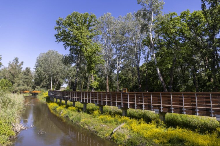 Park šuma Adica