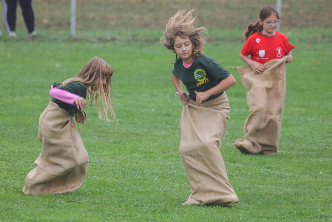 51. Olimpijada starih športova Brođanci 51. Olimpijada starih športova Brođanci