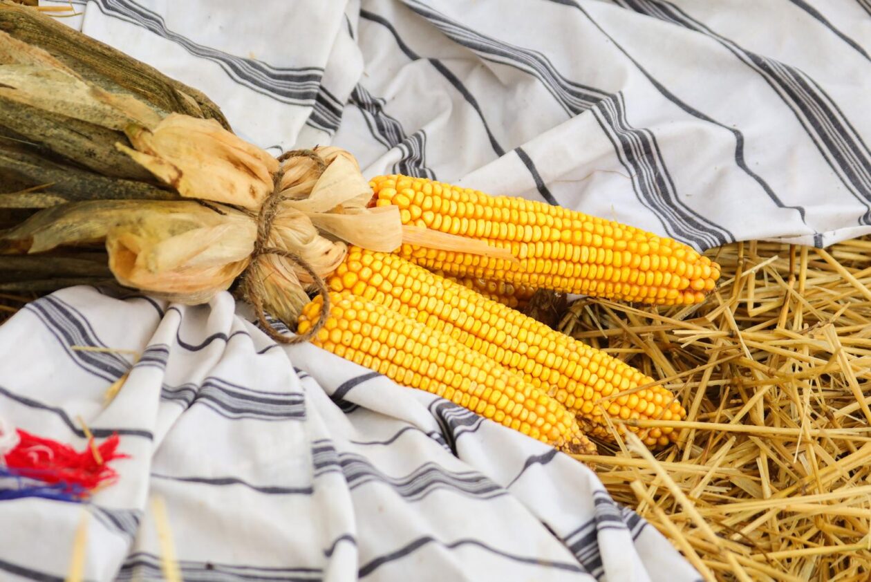 51. Olimpijada starih športova Brođanci 51. Olimpijada starih športova Brođanci