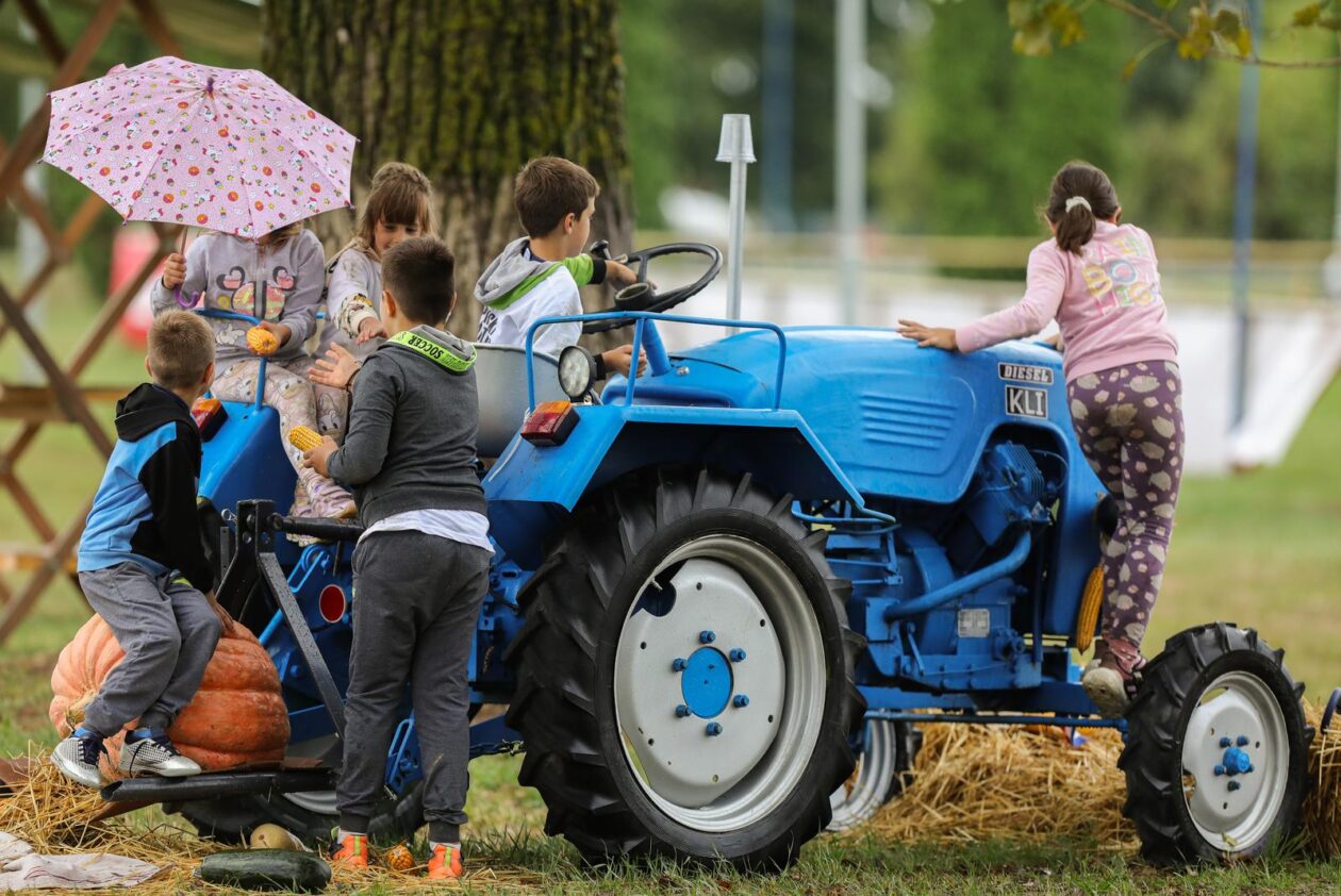 51. Olimpijada starih športova Brođanci 51. Olimpijada starih športova Brođanci