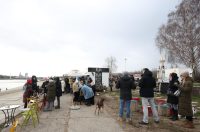 Doček australske nove godine u bajti