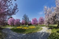 Proljeće u Parku kralja Petra Krešimira IV