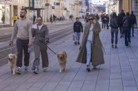 Sunčana šetnja Sunčana šetnja